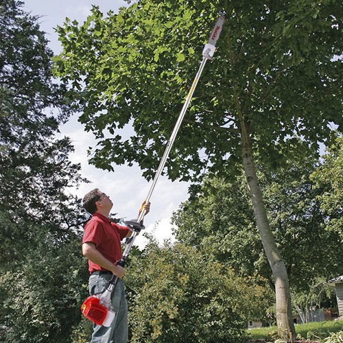 New gas trimmer - new, tree